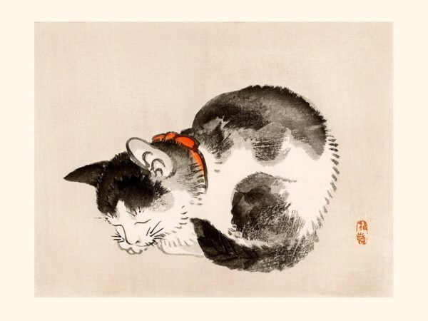 Sleeping Cat