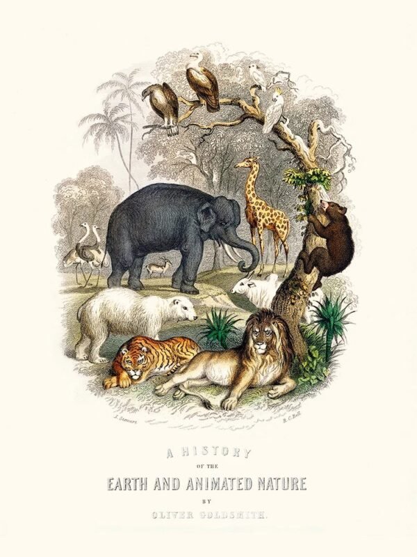 A History of the Earth and Animated Nature