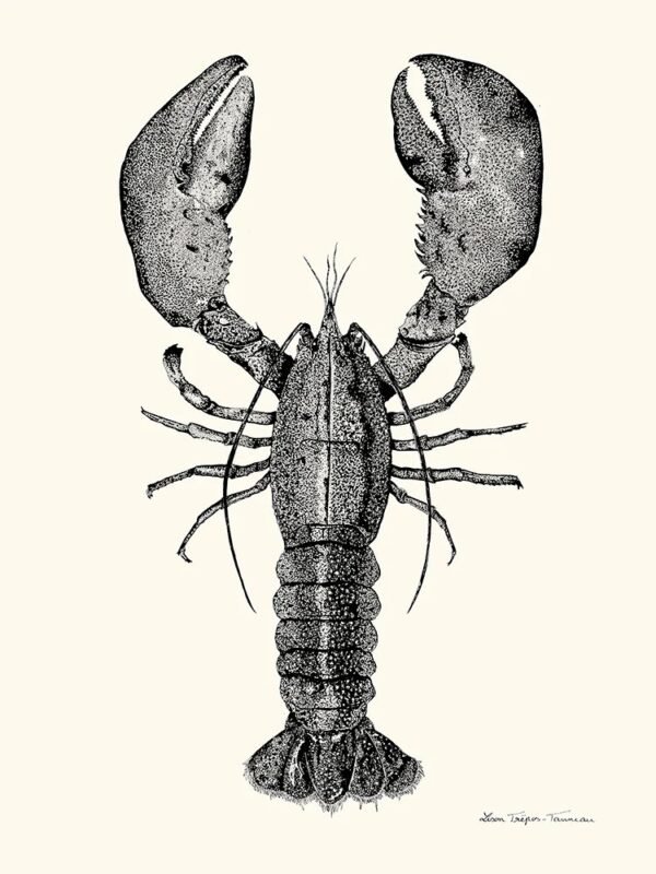 Lobster (Homard)