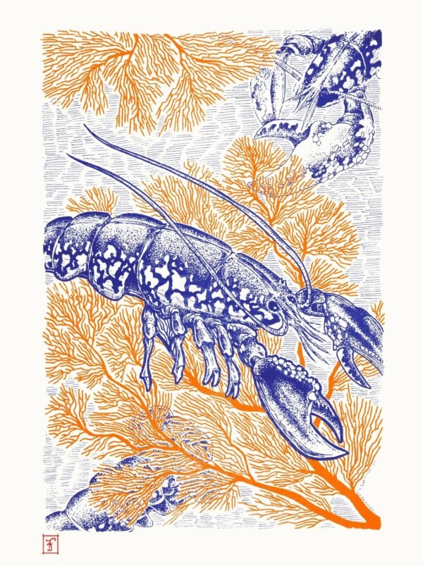 Écrin Corail (Lobster & Coral)